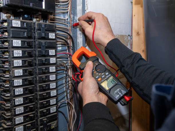 Best Local Electrician Companies  in Alburtis, PA